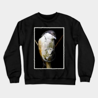 Surreal Bird Art Design Color Crewneck Sweatshirt